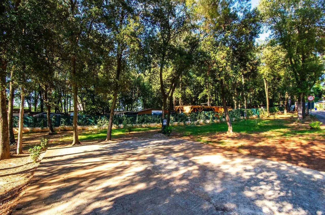 Centinera Resort Banjole Croatia